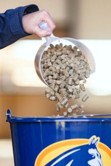 Cavalor Action Pellet